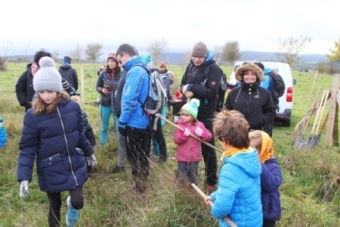 Plantacin de rboles en el Lago de las Sanguijuelas