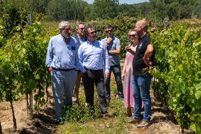 El Gobierno regional apoya la creacin de una IGP del vino vinculada al sur de Cantabria