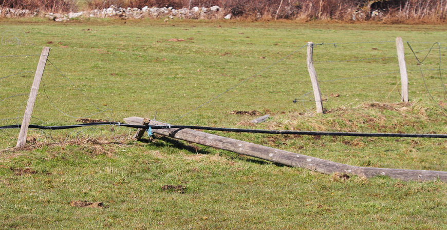 Campoo de Enmedio reclama a Telefnica el arreglo urgente de todas sus lneas y postes