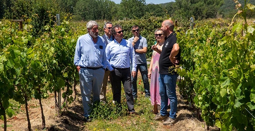 El Gobierno regional apoya la creacin de una IGP del vino vinculada al sur de Cantabria